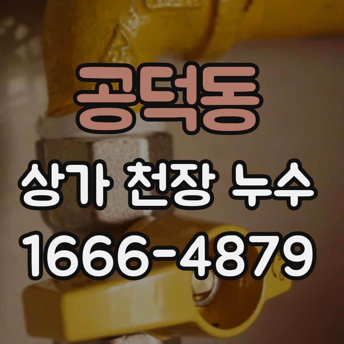 공덕동 상가 천장 누수