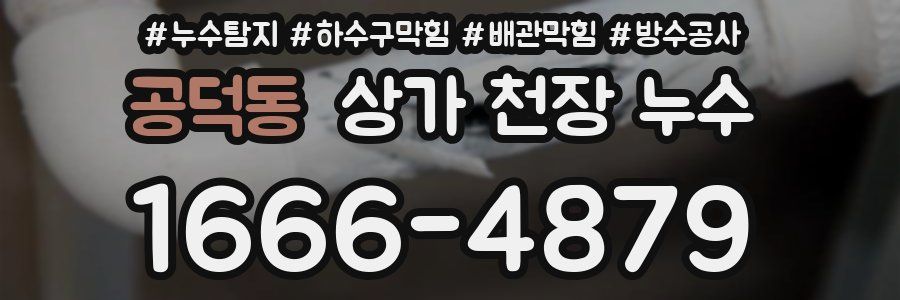 공덕동 상가 천장 누수