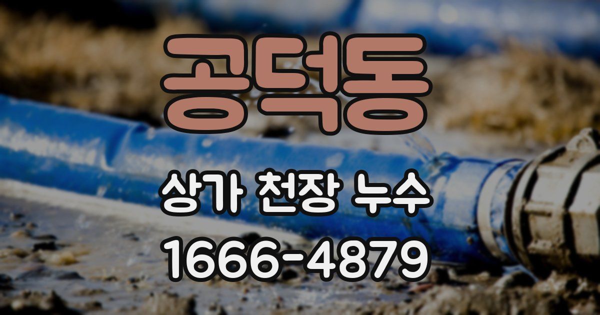 공덕동 상가 천장 누수