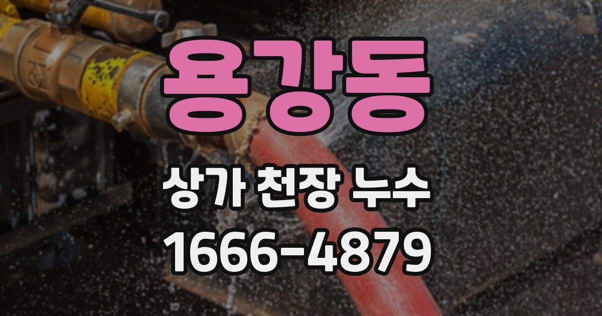 용강동 상가 천장 누수