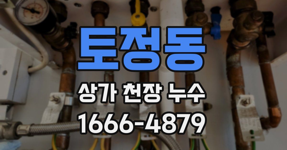 토정동 상가 천장 누수