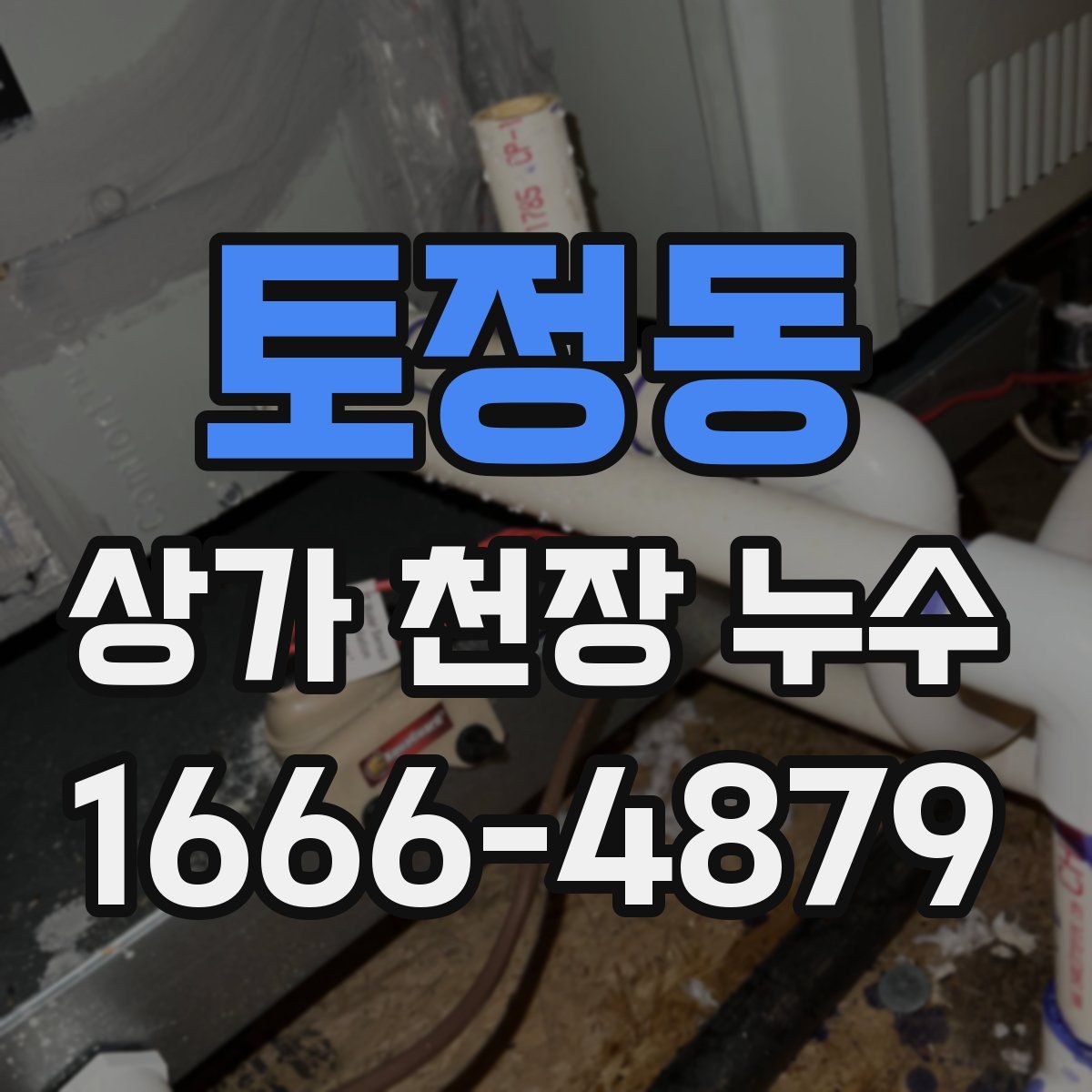 토정동 상가 천장 누수