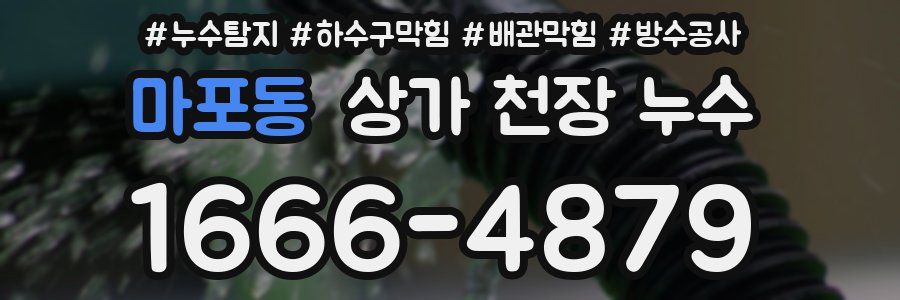 마포동 상가 천장 누수