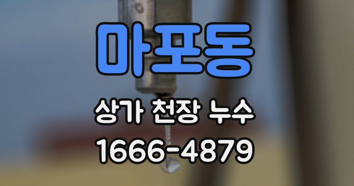 마포동 상가 천장 누수