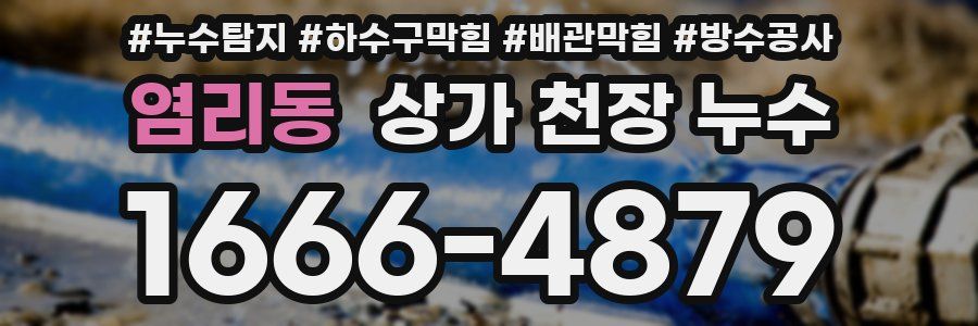 염리동 상가 천장 누수