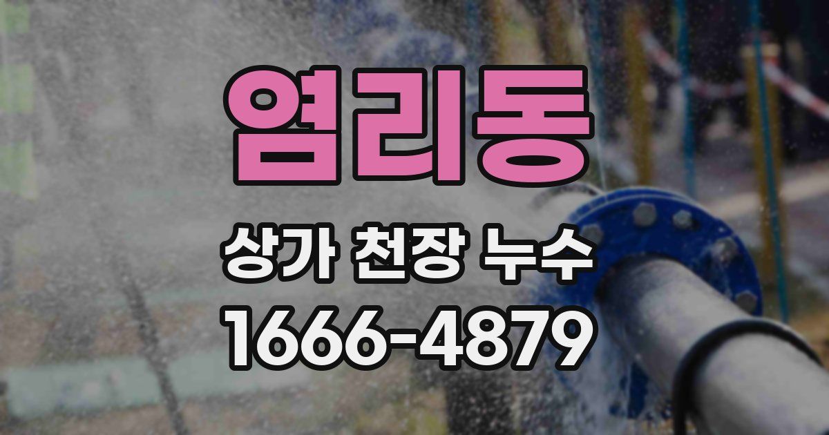 염리동 상가 천장 누수