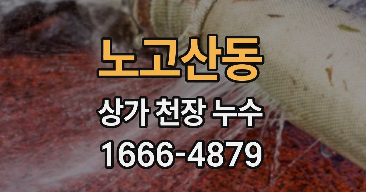 노고산동 상가 천장 누수
