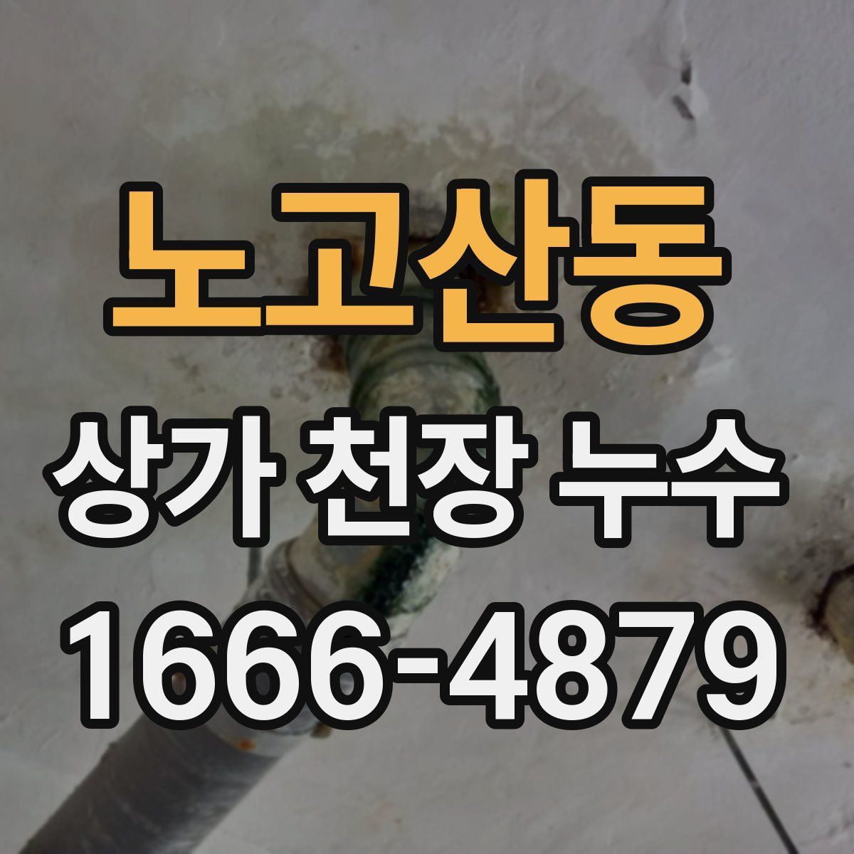 노고산동 상가 천장 누수