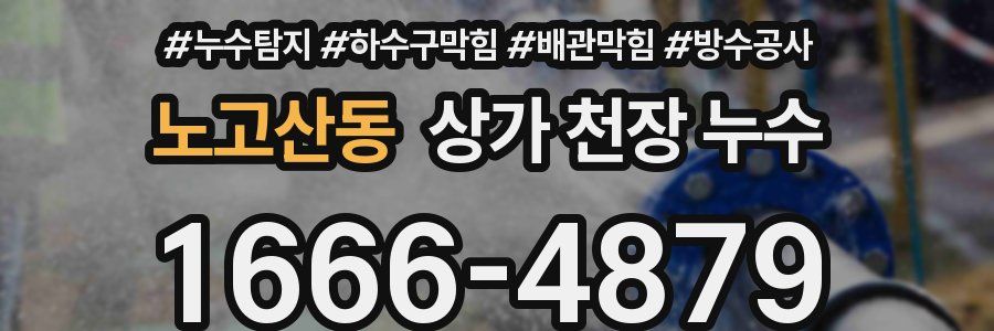 노고산동 상가 천장 누수