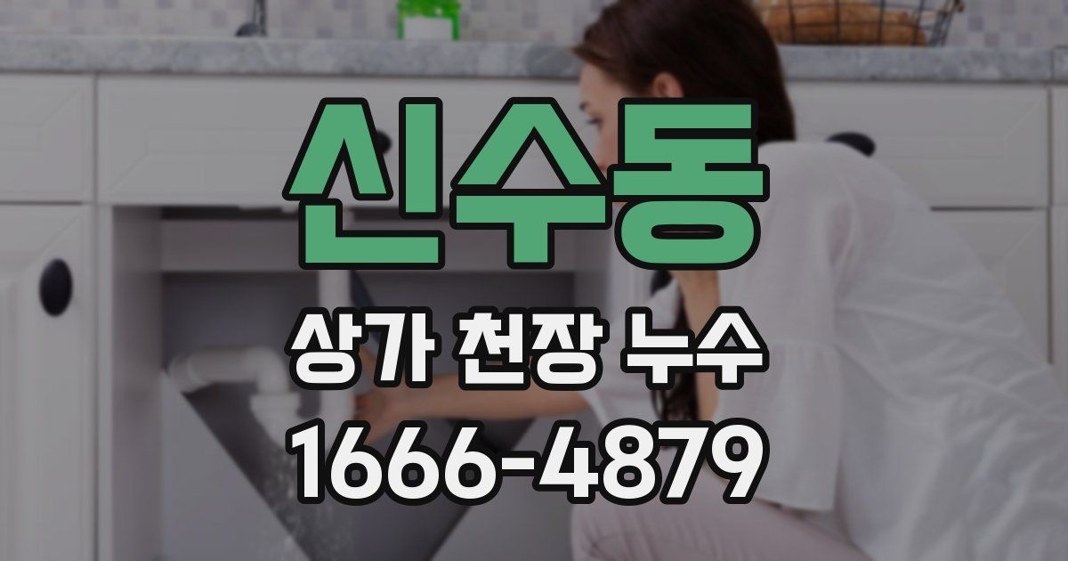 신수동 상가 천장 누수