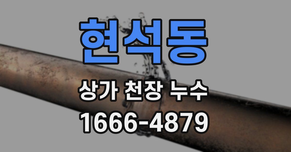 현석동 상가 천장 누수
