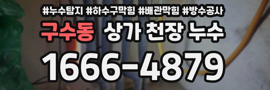 구수동 상가 천장 누수