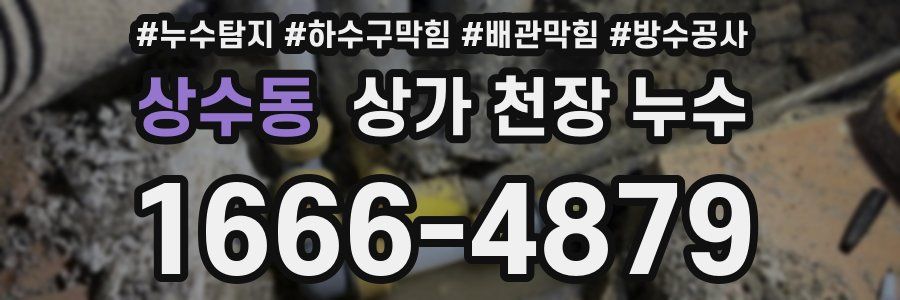 상수동 상가 천장 누수