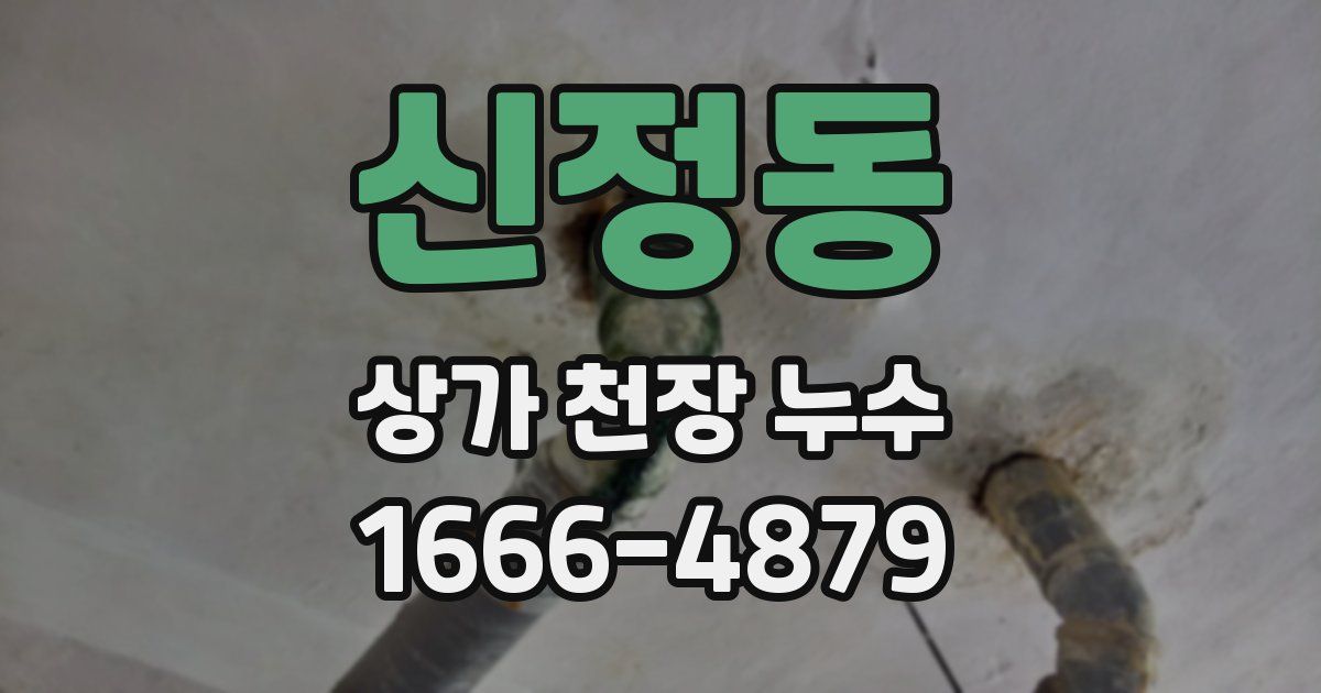 신정동 상가 천장 누수