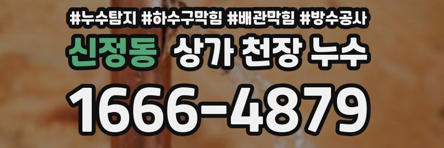 신정동 상가 천장 누수