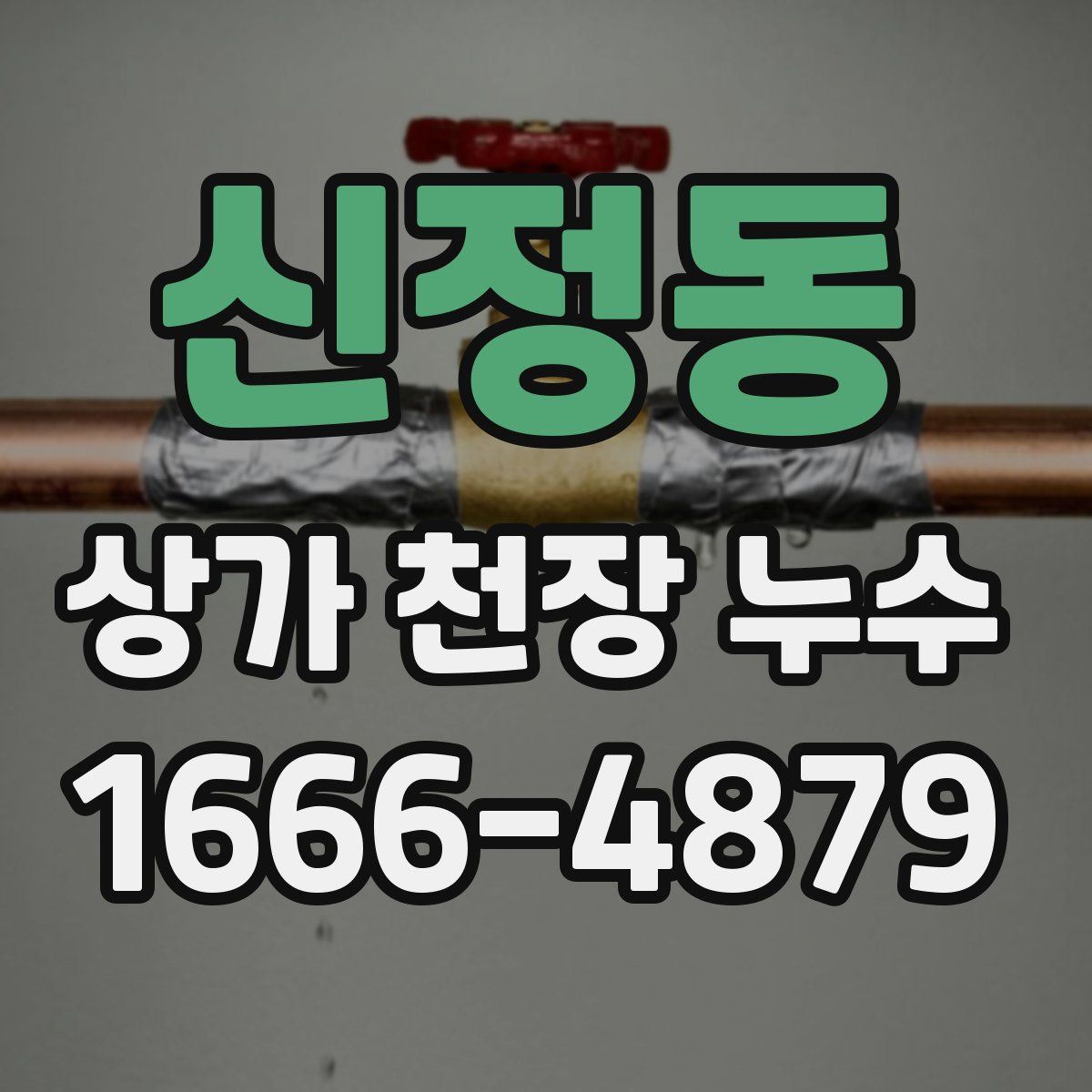 신정동 상가 천장 누수