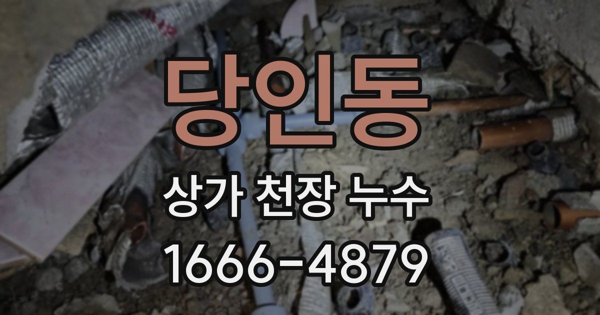 당인동 상가 천장 누수