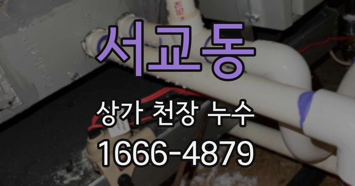 서교동 상가 천장 누수
