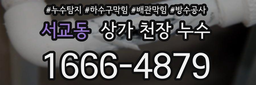 서교동 상가 천장 누수