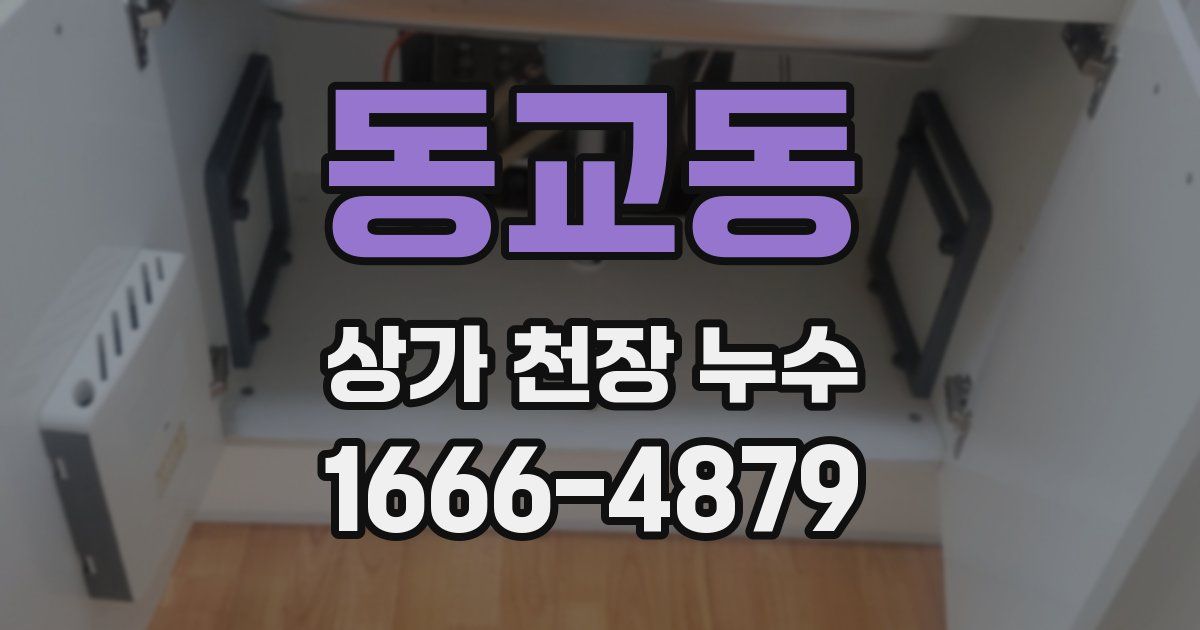 동교동 상가 천장 누수