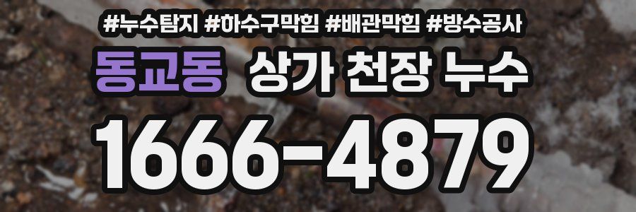 동교동 상가 천장 누수