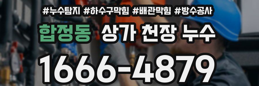합정동 상가 천장 누수