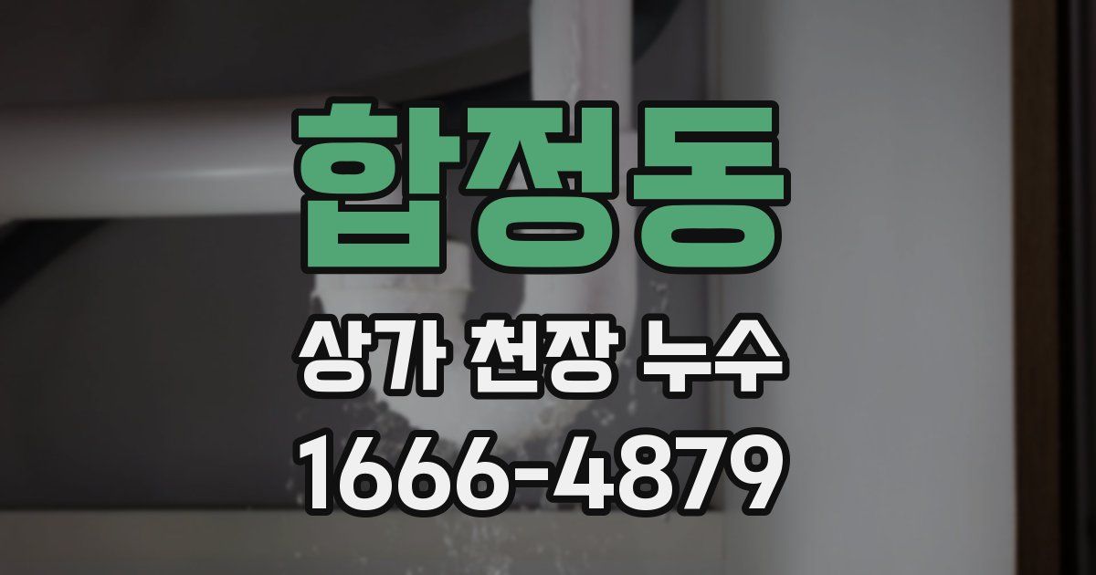 합정동 상가 천장 누수