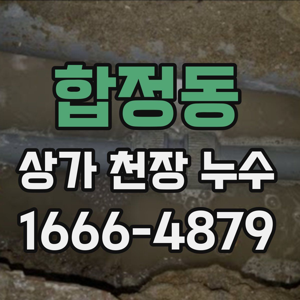 합정동 상가 천장 누수