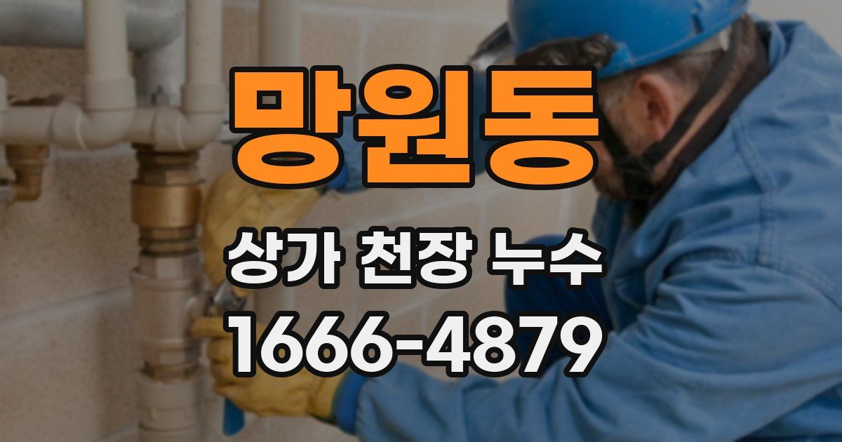 망원동 상가 천장 누수