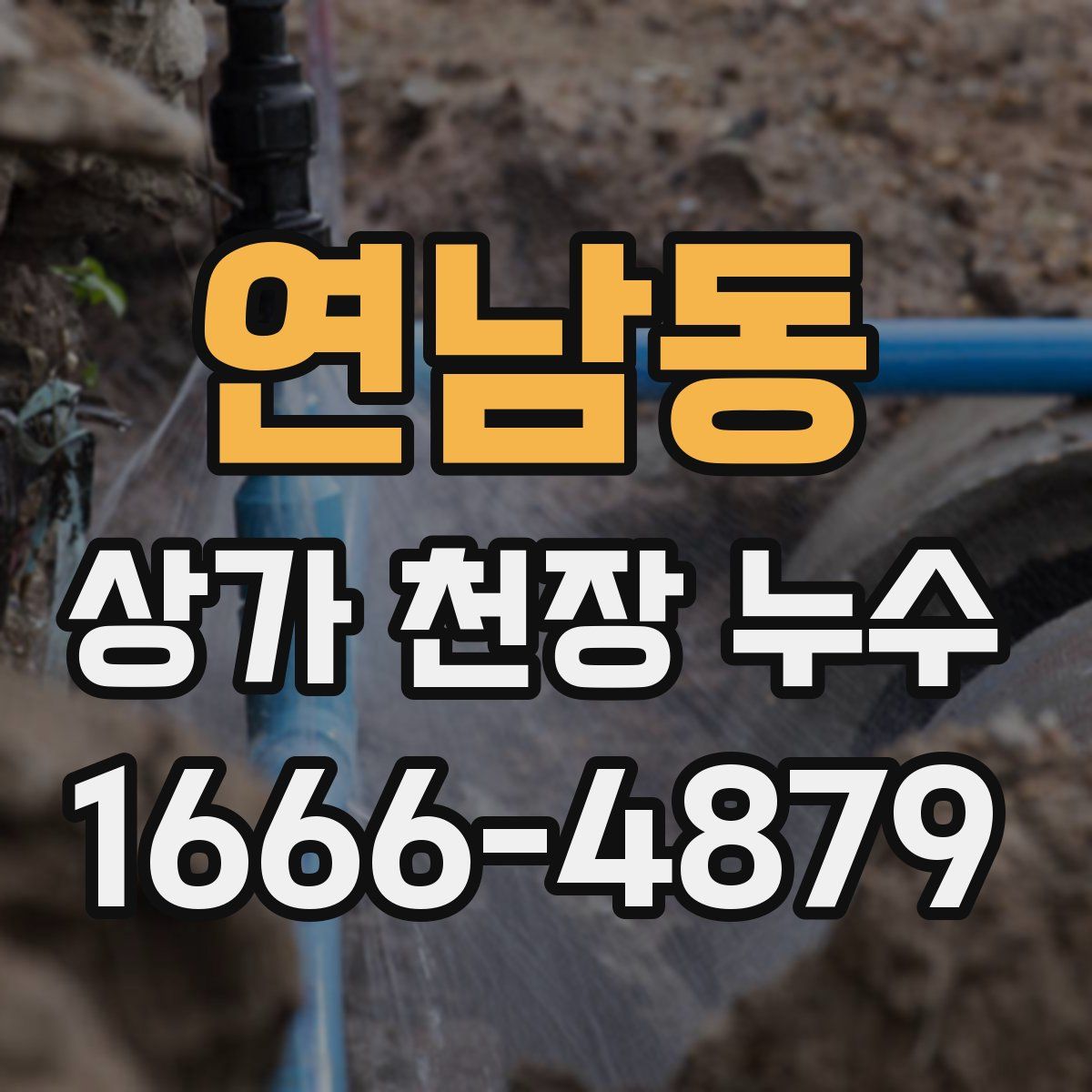 연남동 상가 천장 누수