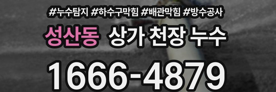 성산동 상가 천장 누수