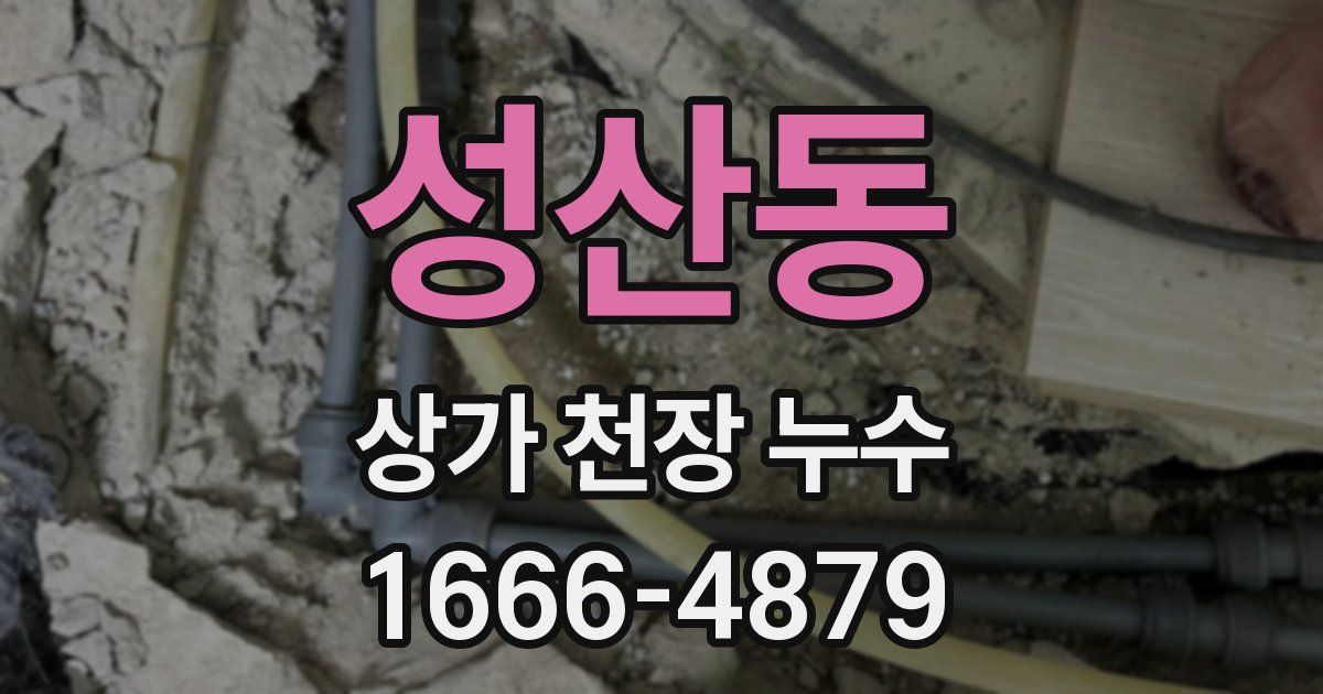 성산동 상가 천장 누수