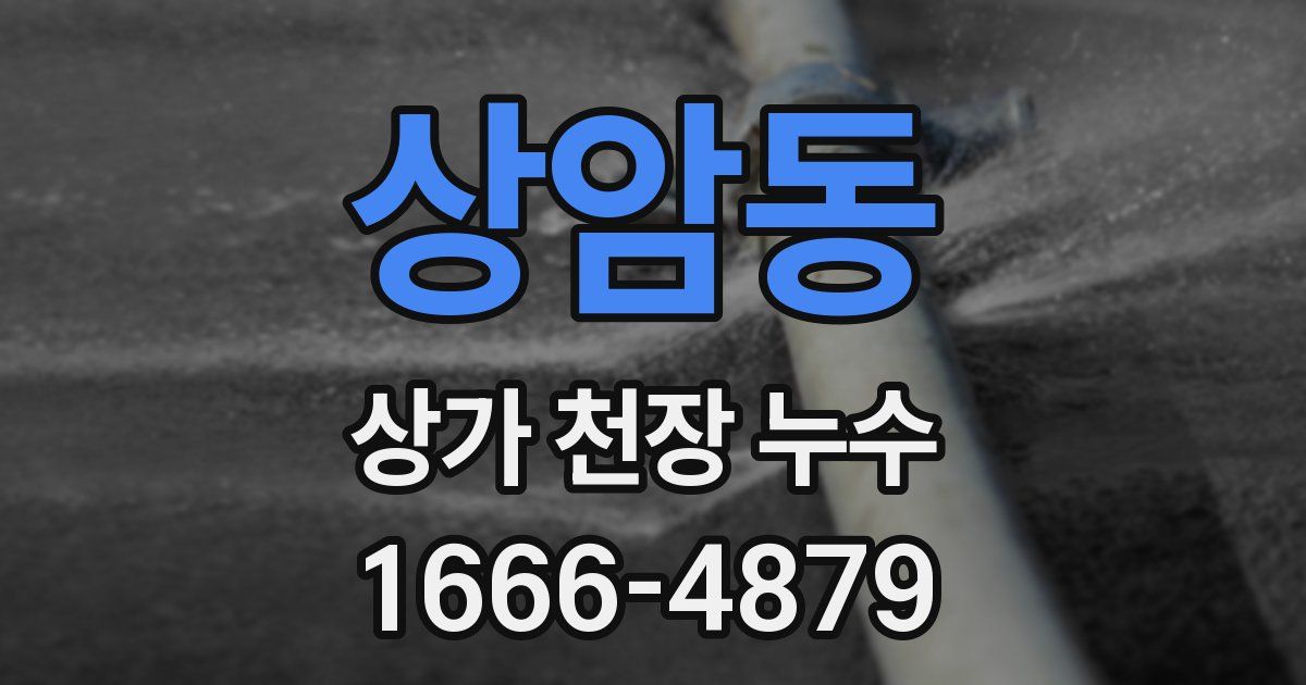 상암동 상가 천장 누수