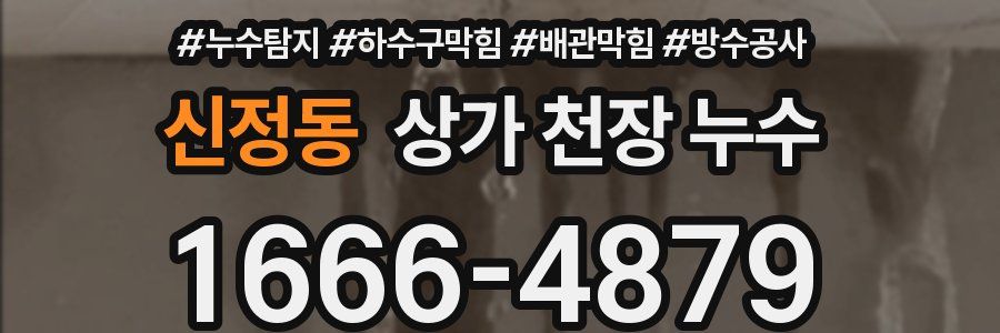 신정동 상가 천장 누수