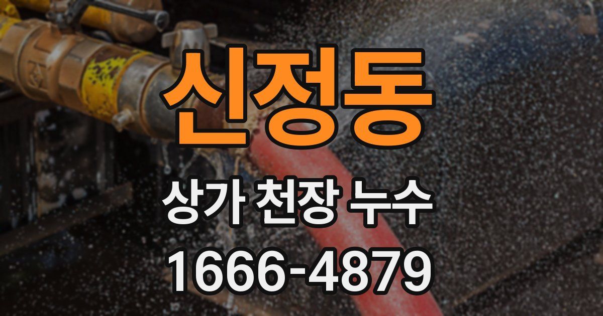 신정동 상가 천장 누수