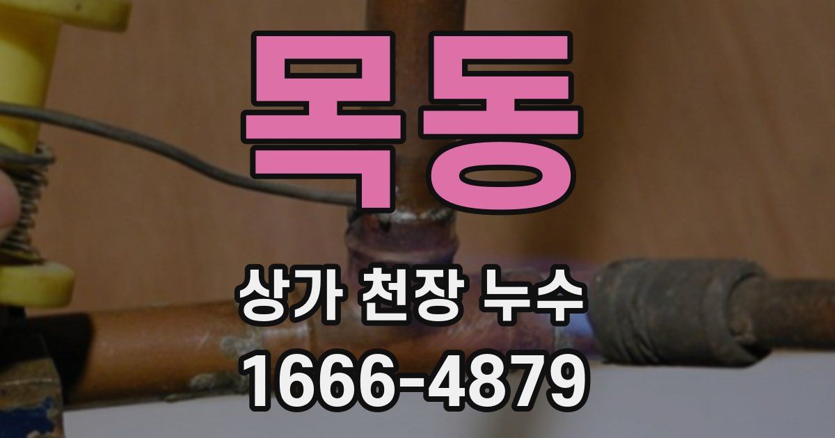 목동 상가 천장 누수