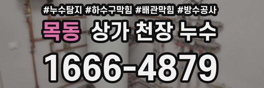 목동 상가 천장 누수