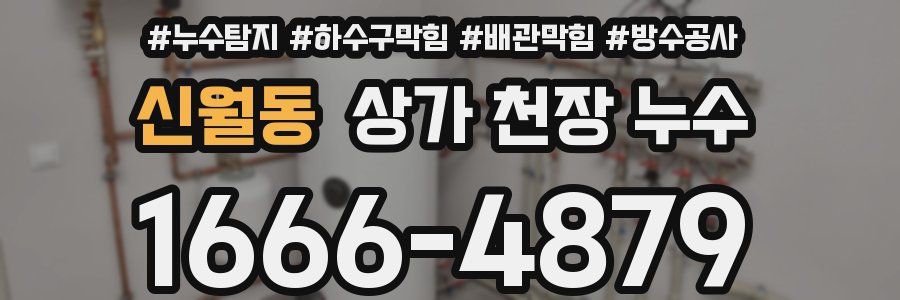 신월동 상가 천장 누수