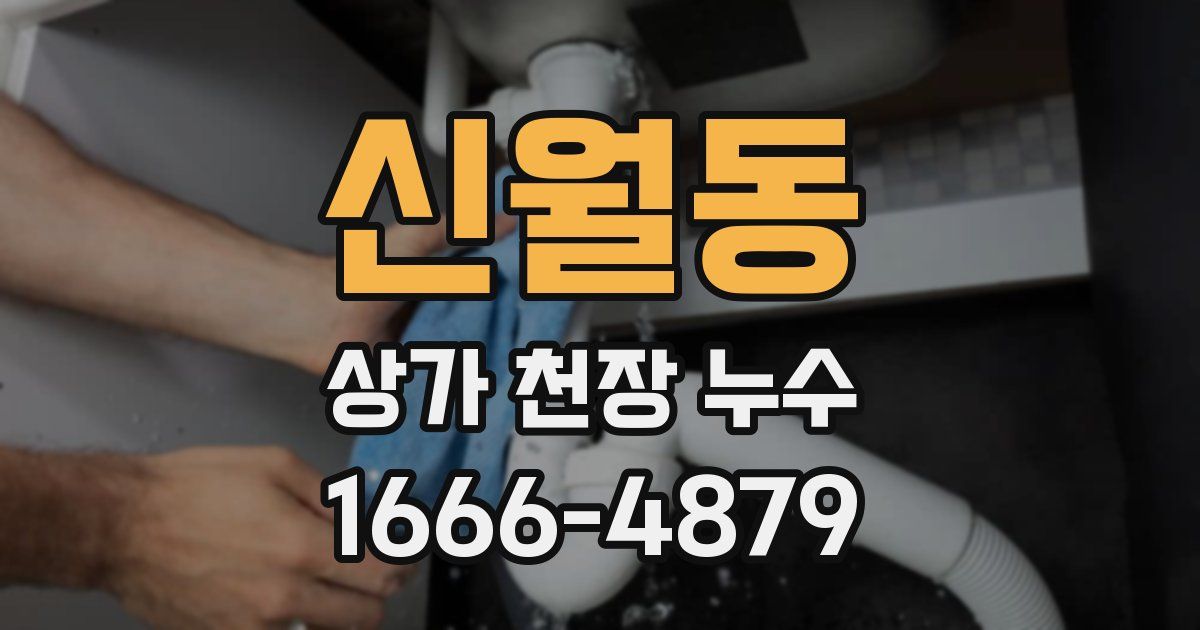 신월동 상가 천장 누수
