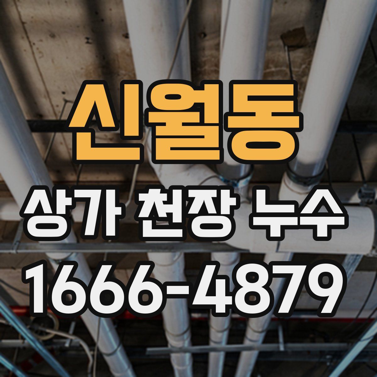 신월동 상가 천장 누수