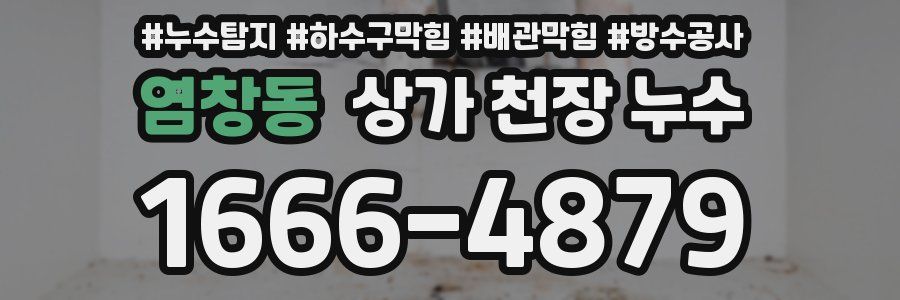 염창동 상가 천장 누수