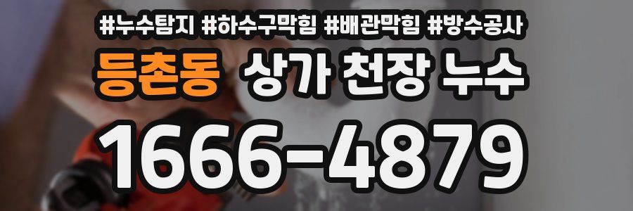 등촌동 상가 천장 누수