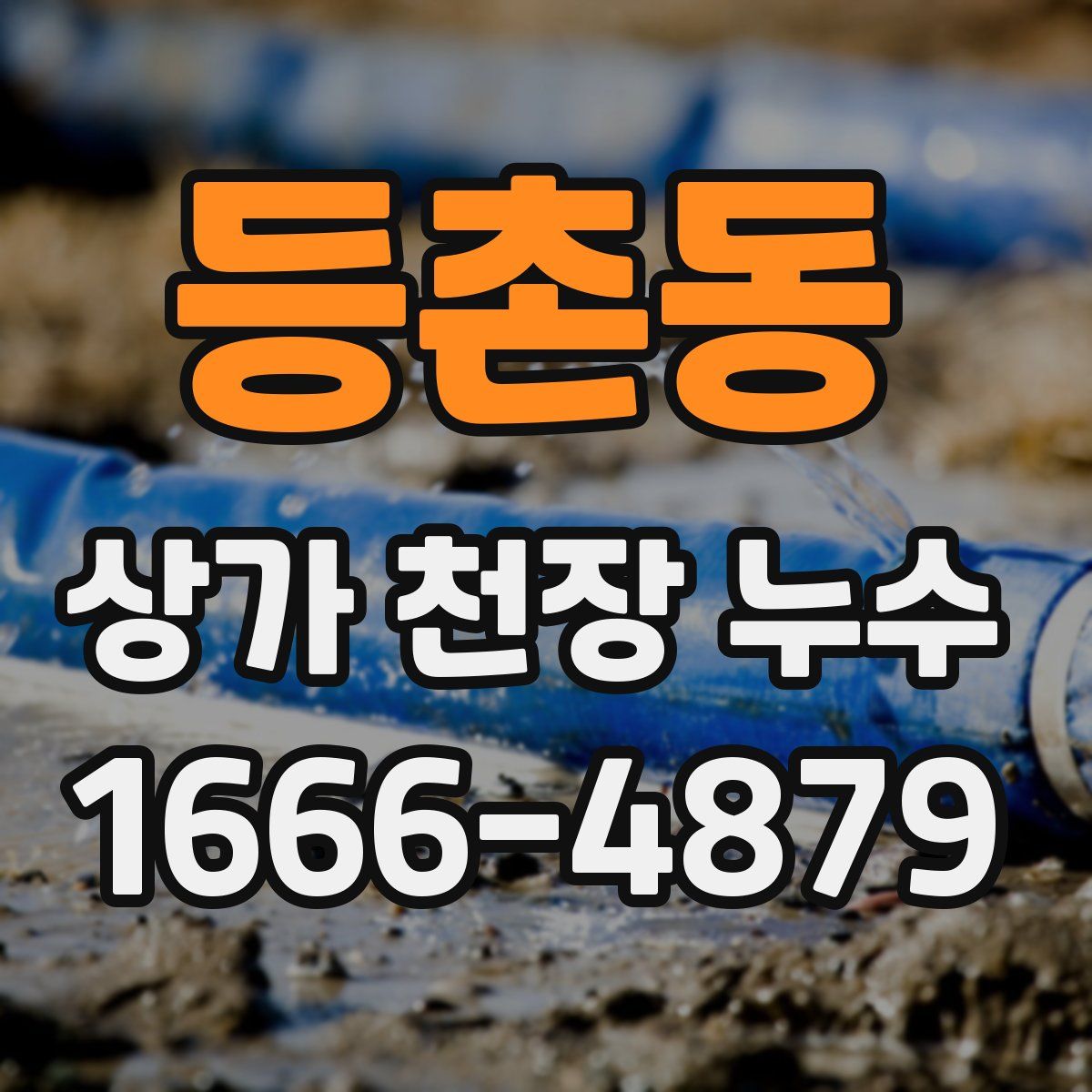 등촌동 상가 천장 누수