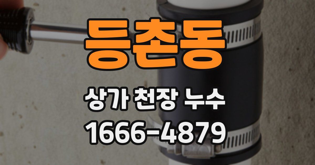 등촌동 상가 천장 누수