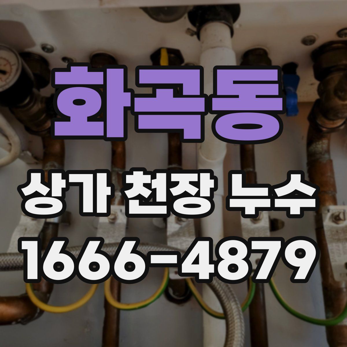화곡동 상가 천장 누수