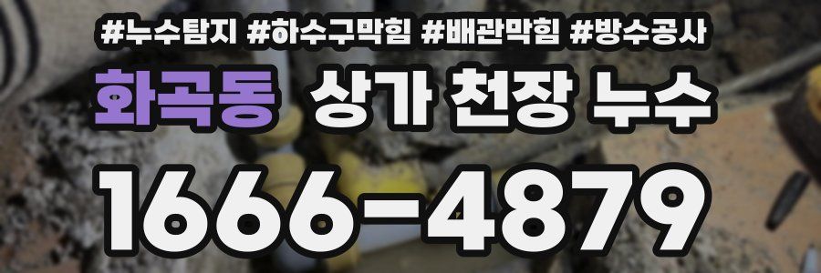 화곡동 상가 천장 누수