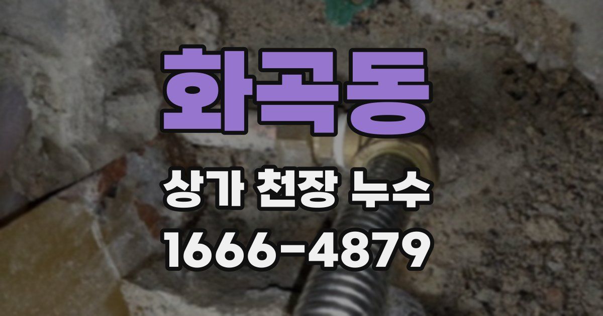 화곡동 상가 천장 누수
