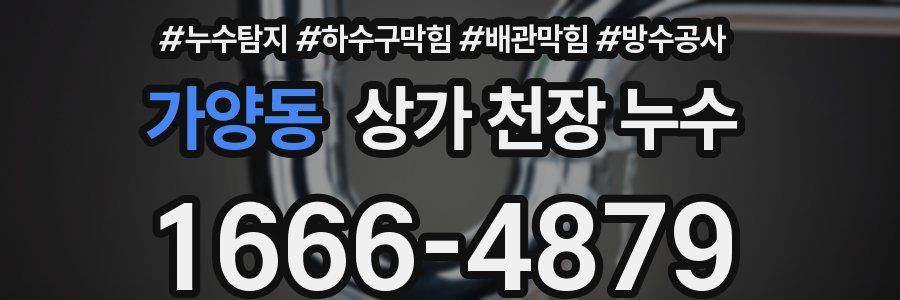 가양동 상가 천장 누수