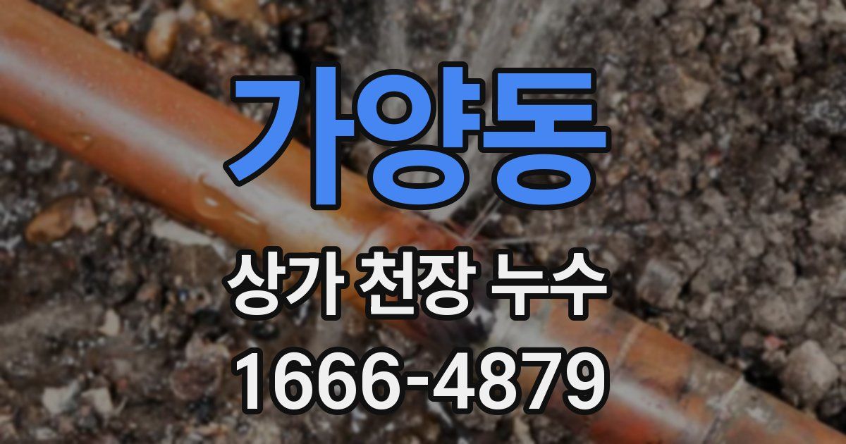 가양동 상가 천장 누수