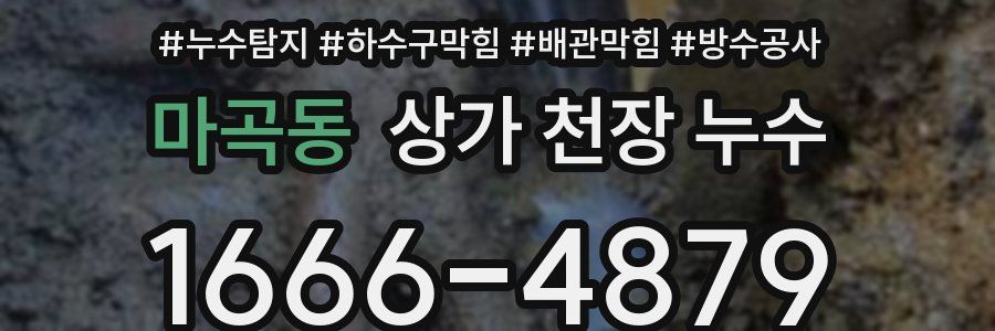마곡동 상가 천장 누수